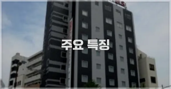 ✨ 주요 특징